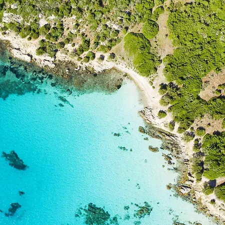 Starfish 300m From The - Happy Apartment Golfo Aranci
